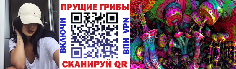 Купить закладки  Новосибирск  Галлюциногенные грибы Cubensis 
